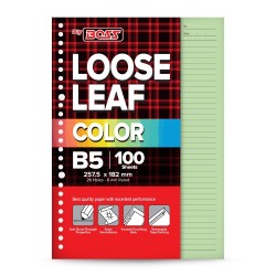 BigBoss Loose Leaf 100 B5...