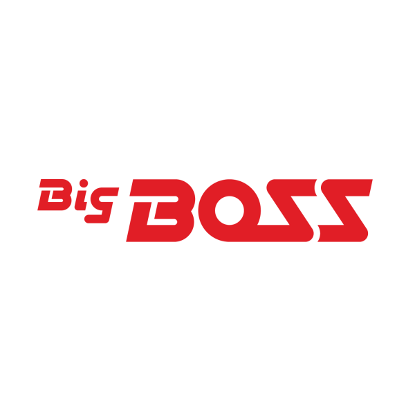 Big Boss